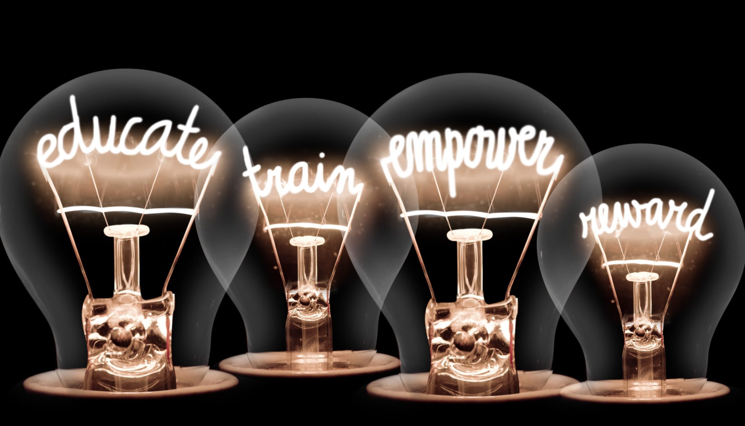 Lightbulbs showing Educate, Train, Empower, Reward.